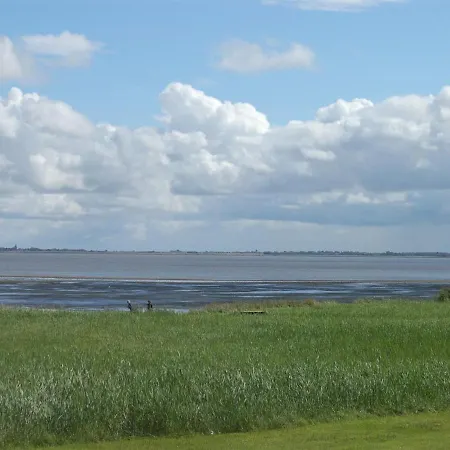 Alett - 3-9km From The Sea In Western Jutland By Interhome
